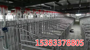 豬場自動化料線設(shè)計安裝