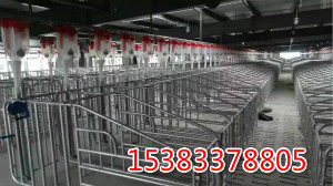 豬場自動化供料系統(tǒng)