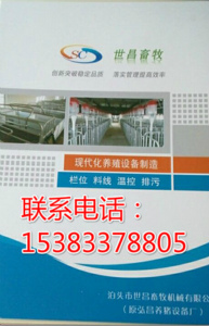養(yǎng)豬自動化喂料系統(tǒng)現(xiàn)代化喂豬系統(tǒng)