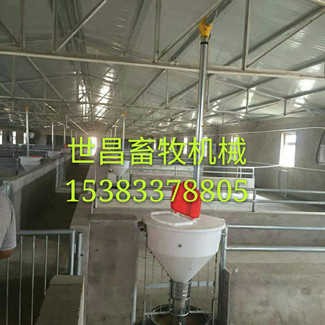 豬場自動化喂豬設(shè)備養(yǎng)殖自動化料線
