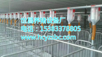 養(yǎng)豬自動化喂豬系統(tǒng)