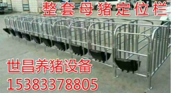 產(chǎn)床豬產(chǎn)床母豬產(chǎn)床廠家 養(yǎng)豬設備