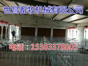 畜牧業(yè)豬場自動(dòng)化喂料系統(tǒng)安裝廠家