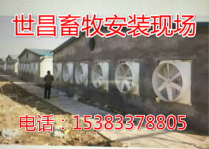 豬場降溫設(shè)備風(fēng)機水簾
