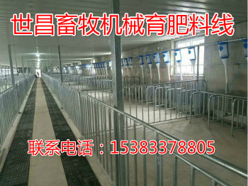 豬場新建自動(dòng)化喂料線設(shè)計(jì)廠家