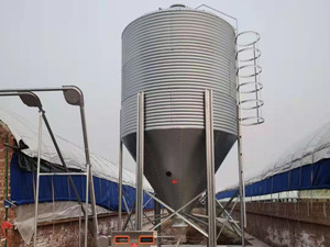 新建豬場自動化喂料線安裝廠家