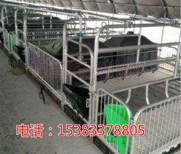 雙體復(fù)合板母豬欄